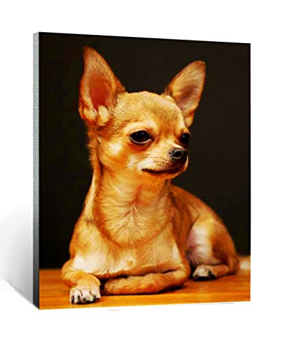 Malen nach Zahlen süßes haustier hund chihuahua tier Für Erwachsene und Kinder DIY Ölgemälde Geschenk-Kits Vorgedruckte Leinwand Kunst Home Decoration 16x20 Zoll rahmenlos Malen nach Zahlen süßes haustier hund chihuahua tier Für Erwachsene und Kinder DIY Ölgemälde Geschenk-Kits Vorgedruckte Leinwand Kunst Home Decoration 16x20 Zoll rahmenlos von CHKNUJY