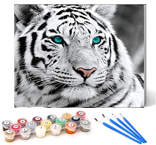 Malen nach Zahlen weißer Tiger Kits für Anfänger Erwachsene DIY Art Decor Handgemalte Malerei nach Zahlen Kreatives Geschenk Home Decoration 16x20 Zoll rahmenlos von CHKNUJY