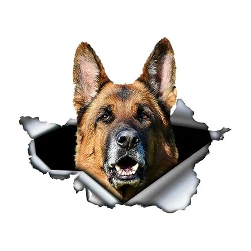 CHSLO 13/15/PVC Aufkleber Deutscher Schäferhund Hund Wasserdichtes Auto Aufkleber auf Motorrad Laptop Dekoratives Zubehör CHSLO 13/15/PVC Aufkleber Deutscher Schäferhund Hund Wasserdichtes Auto Aufkleber auf Motorrad Laptop Dekoratives Zubehör von CHSLO