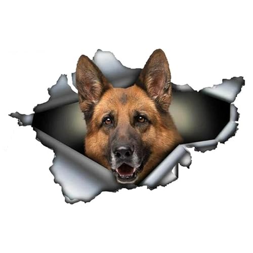 CHSLO 13/15/PVC Aufkleber Deutscher Schäferhund Hund Wasserdichtes Auto Aufkleber auf Motorrad Laptop Dekoratives Zubehör CHSLO 13/15/PVC Aufkleber Deutscher Schäferhund Hund Wasserdichtes Auto Aufkleber auf Motorrad Laptop Dekoratives Zubehör von CHSLO