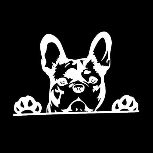 CHSLO Auto Aufkleber Kreative Pfoten Up Französische Bulldogge Frenchie Bully Hund Automobile Motorräder Außenzubehör Vinyl Aufkleber CHSLO Auto Aufkleber Kreative Pfoten Up Französische Bulldogge Frenchie Bully Hund Automobile Motorräder Außenzubehör Vinyl Aufkleber von CHSLO