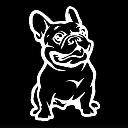 CHSLO Auto Aufkleber Vinyl Französische Bulldogge Tier Dekor Lustige Aufkleber Aufkleber Aufkleber Reflektierende Laser Motorrad Auto Styling CHSLO Auto Aufkleber Vinyl Französische Bulldogge Tier Dekor Lustige Aufkleber Aufkleber Aufkleber Reflektierende Laser Motorrad Auto Styling von CHSLO