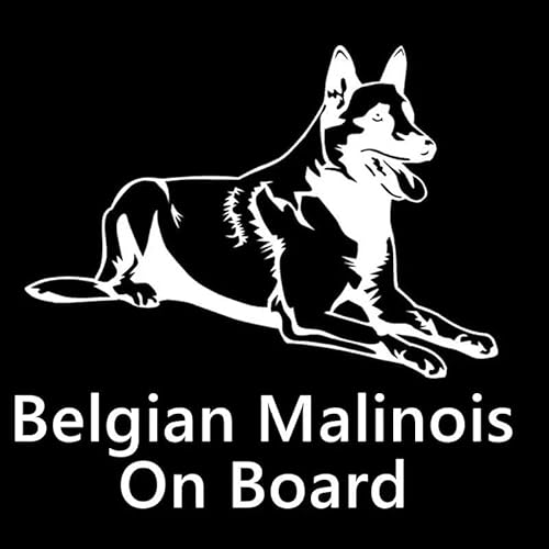 CHSLO Auto Aufkleber Wasserdicht und Sonnenschutz Vinyl Aufkleber Belgischer Schäferhund Malinois Motorrad Dekoratives Zubehör Kreativ CHSLO Auto Aufkleber Wasserdicht und Sonnenschutz Vinyl Aufkleber Belgischer Schäferhund Malinois Motorrad Dekoratives Zubehör Kreativ von CHSLO