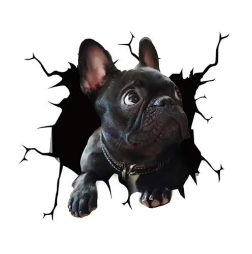 CHSLO Auto Heckscheibe Aufkleber Welpe zerbrochene Fenster Aufkleber Elektrostatische 3D Simulation Französische Bulldogge Auto Aufkleber CHSLO Auto Heckscheibe Aufkleber Welpe zerbrochene Fenster Aufkleber Elektrostatische 3D Simulation Französische Bulldogge Auto Aufkleber von CHSLO