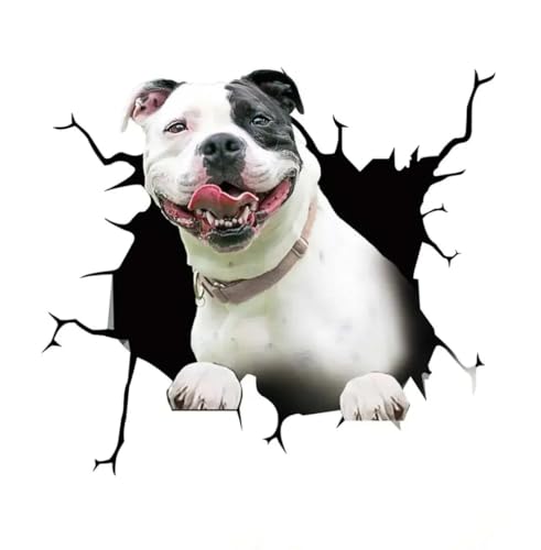 CHSLO Auto Heckscheibe Aufkleber Welpe zerbrochene Fenster Aufkleber Elektrostatische 3D Simulation Französische Bulldogge Auto Aufkleber CHSLO Auto Heckscheibe Aufkleber Welpe zerbrochene Fenster Aufkleber Elektrostatische 3D Simulation Französische Bulldogge Auto Aufkleber von CHSLO