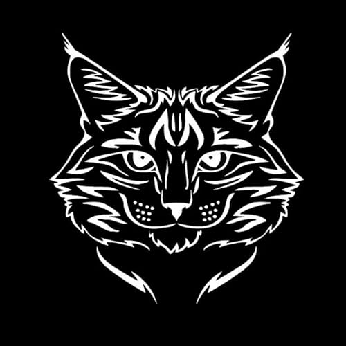 CHSLO Autoaufkleber 14 * 15CM Maine Coon Katze Rasse Kätzchen Haustier Tier Vinyl Aufkleber Classic Cartoon Fenster Dekoration Auto Aufkleber CHSLO Autoaufkleber 14 * 15CM Maine Coon Katze Rasse Kätzchen Haustier Tier Vinyl Aufkleber Classic Cartoon Fenster Dekoration Auto Aufkleber von CHSLO