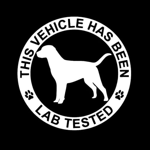 CHSLO Autoaufkleber 15,5 x 15,5 cm kreativer Autoaufkleber Vinyl-Aufkleber Dieses Fahrzeug wurde im Labor getestet Labrador Retriever Schwarz/Silber CHSLO Autoaufkleber 15,5 x 15,5 cm kreativer Autoaufkleber Vinyl-Aufkleber Dieses Fahrzeug wurde im Labor getestet Labrador Retriever Schwarz/Silber von CHSLO