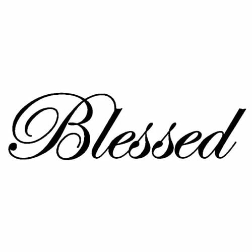 CHSLO Autoaufkleber 17CM * 4,9CM Blessed Turbo Lustige Vinyl Aufkleber Aufkleber Auto Schwarz/Silber CHSLO Autoaufkleber 17CM * 4,9CM Blessed Turbo Lustige Vinyl Aufkleber Aufkleber Auto Schwarz/Silber von CHSLO