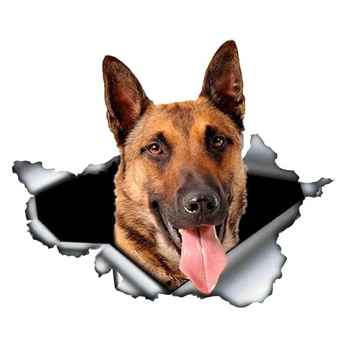 CHSLO Autoaufkleber kreatives Tier Belgisch Malinois Autoaufkleber zerrissen Schäferhund Haustier Hund wasserdichte Sonnencreme CHSLO Autoaufkleber kreatives Tier Belgisch Malinois Autoaufkleber zerrissen Schäferhund Haustier Hund wasserdichte Sonnencreme von CHSLO