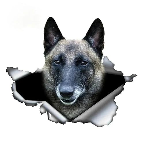 CHSLO Autoaufkleber kreatives Tier Belgisch Malinois Autoaufkleber zerrissen Schäferhund Haustier Hund wasserdichte Sonnencreme CHSLO Autoaufkleber kreatives Tier Belgisch Malinois Autoaufkleber zerrissen Schäferhund Haustier Hund wasserdichte Sonnencreme von CHSLO