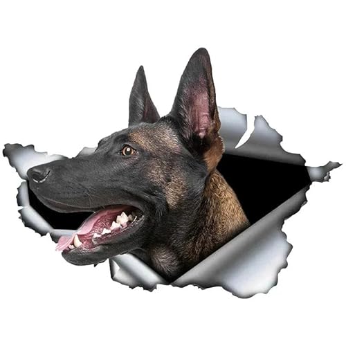 CHSLO Autoaufkleber kreatives Tier Belgisch Malinois Autoaufkleber zerrissen Schäferhund Haustier Hund wasserdichte Sonnencreme CHSLO Autoaufkleber kreatives Tier Belgisch Malinois Autoaufkleber zerrissen Schäferhund Haustier Hund wasserdichte Sonnencreme von CHSLO