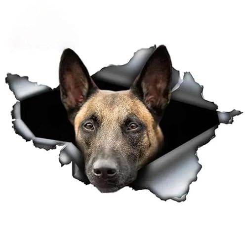 CHSLO Autoaufkleber kreatives Tier Belgisch Malinois Autoaufkleber zerrissen Schäferhund Haustier Hund wasserdichte Sonnencreme CHSLO Autoaufkleber kreatives Tier Belgisch Malinois Autoaufkleber zerrissen Schäferhund Haustier Hund wasserdichte Sonnencreme von CHSLO