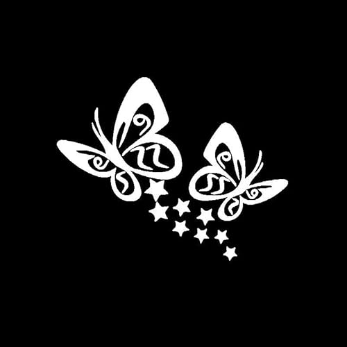 CHSLO LUSTIGER SCHMETTERLING und Sterne Blume 28x22cm Auto Aufkleber Auto Motorrad Außenzubehör Vinyl Aufkleber von CHSLO