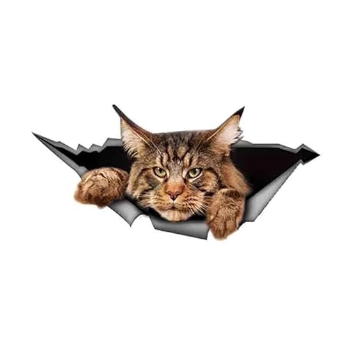 CHSLO Maine Coon Auto Aufkleber Zerrissenes Metall Aufkleber Reflektierende Aufkleber 3D Lustige Große Katze Aufkleber Auto Styling Wasserdicht CHSLO Maine Coon Auto Aufkleber Zerrissenes Metall Aufkleber Reflektierende Aufkleber 3D Lustige Große Katze Aufkleber Auto Styling Wasserdicht von CHSLO