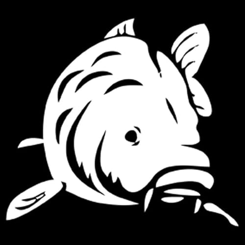 CHSLO Mode Fisch Angeln Tier Dekoration Auto Aufkleber Automobile Motorräder Außenzubehör Vinyl Aufkleber CHSLO Mode Fisch Angeln Tier Dekoration Auto Aufkleber Automobile Motorräder Außenzubehör Vinyl Aufkleber von CHSLO