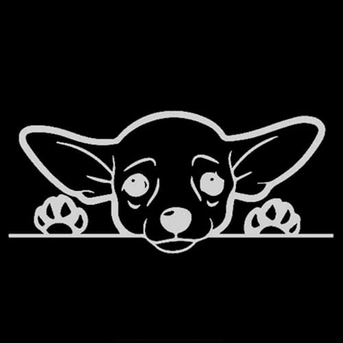 CHSLO Niedlicher Chihuahua Hund Auto Aufkleber Außenzubehör Vinyl Wasserdichte Aufkleber Für LKW Vans SUV Fenster Wände Tassen CHSLO Niedlicher Chihuahua Hund Auto Aufkleber Außenzubehör Vinyl Wasserdichte Aufkleber Für LKW Vans SUV Fenster Wände Tassen von CHSLO