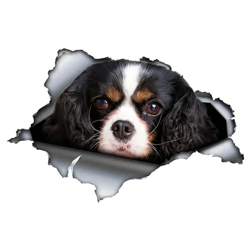 CHSLO PVC Aufkleber Kavalier König Charles Hund Auto Aufkleber auf Motorrad Laptop Dekoratives Zubehör von CHSLO