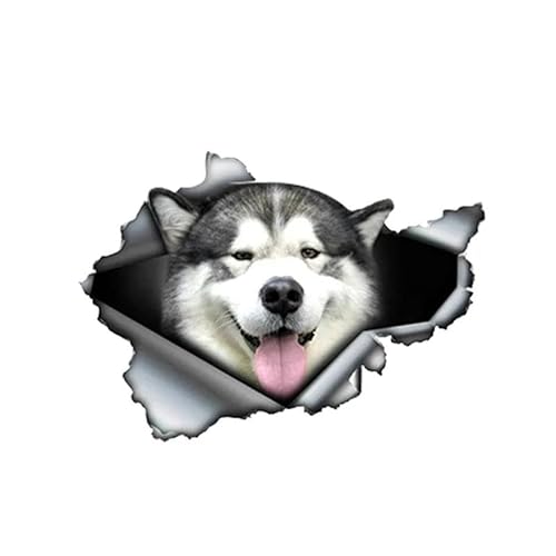 CHSLO PVC Aufkleber Malamute Hund Auto Aufkleber auf Motorrad Laptop Dekoratives Zubehör Wasserdicht und Sonnenschutz von CHSLO