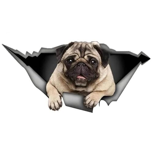 CHSLO PVC Aufkleber Mops Hund Auto Aufkleber auf Motorrad Laptop Dekoratives Zubehör CHSLO PVC Aufkleber Mops Hund Auto Aufkleber auf Motorrad Laptop Dekoratives Zubehör von CHSLO