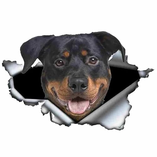 CHSLO Verschiedene Größen/Farben PVC Aufkleber Rottweiler Hund V6 Wasserdichter Auto Aufkleber auf Motorrad Laptop Dekorativ von CHSLO