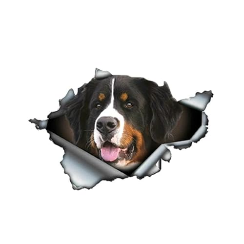 CHSLO Verschiedene Größen PVC Aufkleber 3D Berner Sennenhund Wasserdichter Auto Aufkleber auf Motorrad Laptop Dekorativ CHSLO Verschiedene Größen PVC Aufkleber 3D Berner Sennenhund Wasserdichter Auto Aufkleber auf Motorrad Laptop Dekorativ von CHSLO