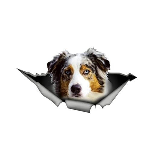 CHSLO Verschiedene Größen PVC Aufkleber Australian Shepherd Wasserdichter Auto Aufkleber auf Motorrad Laptop Dekorativ von CHSLO