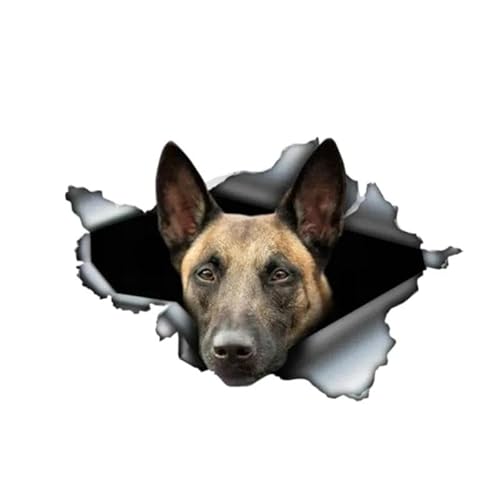 CHSLO Verschiedene Größen PVC Aufkleber Belgischer Malinois Wasserdichter Auto Aufkleber auf Motorrad Laptop Dekorativ von CHSLO
