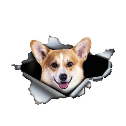 CHSLO Verschiedene Größen PVC Aufkleber Corgi Hund Wasserdichter Auto Aufkleber auf Motorrad Laptop Dekorativ von CHSLO