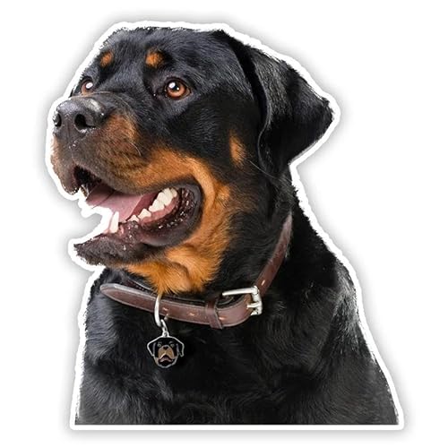 CHSLO Verschiedene Größen PVC Aufkleber Rottweiler Haustier Hund V3 Wasserdichter Auto Aufkleber auf Motorrad Laptop Dekorativ von CHSLO