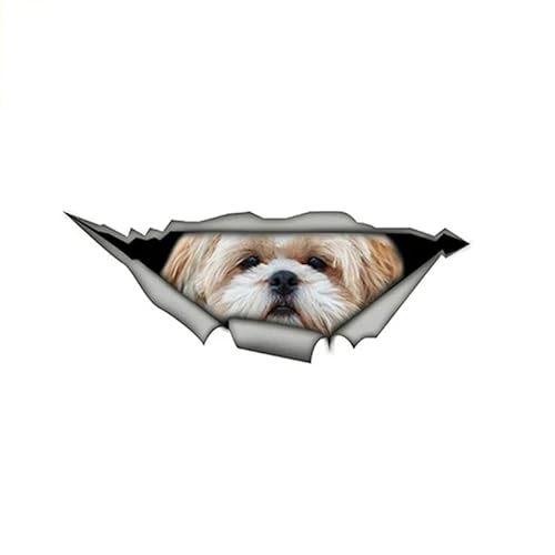 CHSLO Verschiedene Größen PVC Aufkleber Schöner Haustier Hund Shih Tzu Wasserdichter Auto Aufkleber auf Motorrad Laptop von CHSLO