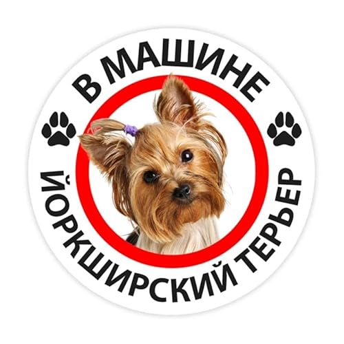 CHSLO Yorkshire Terrier im Auto Selbstklebende Aufkleber Auto Aufkleber Wasserdichte Autodekore auf Stoßstange Heckscheibe CHSLO Yorkshire Terrier im Auto Selbstklebende Aufkleber Auto Aufkleber Wasserdichte Autodekore auf Stoßstange Heckscheibe von CHSLO