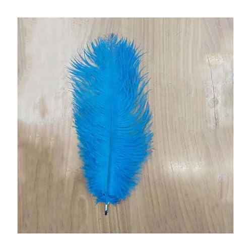 Geburtstagstorte Deko 10 Stück Tortendeko Dekoration Kuchen Dekoration Kuchen Topper Federn Cake Topper Tortenafsätze Feder Weihnachtstorte Deko Cupcake Topper Für Geburtstagstorte Party Geburtstagstorte Deko 10 Stück Tortendeko Dekoration Kuchen Dekoration Kuchen Topper Federn Cake Topper Tortenafsätze Feder Weihnachtstorte Deko Cupcake Topper Für Geburtstagstorte Party von CHTME
