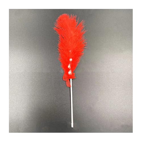 Geburtstagstorte Deko 2 Stück Tortendeko Dekoration Kuchen Dekoration Kuchen Topper Federn Cake Topper Tortenafsätze Feder Weihnachtstorte Deko Cupcake Topper Für Geburtstagstorte Party Geburtstagstorte Deko 2 Stück Tortendeko Dekoration Kuchen Dekoration Kuchen Topper Federn Cake Topper Tortenafsätze Feder Weihnachtstorte Deko Cupcake Topper Für Geburtstagstorte Party von CHTME