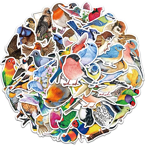 CHUANGOU Wasserdicht Vinyl Stickers Laptop Aufkleber Stickers Aufkleber Graffiti Aufkleber Sticker Set 50 Stück Vögel von CHUANGOU