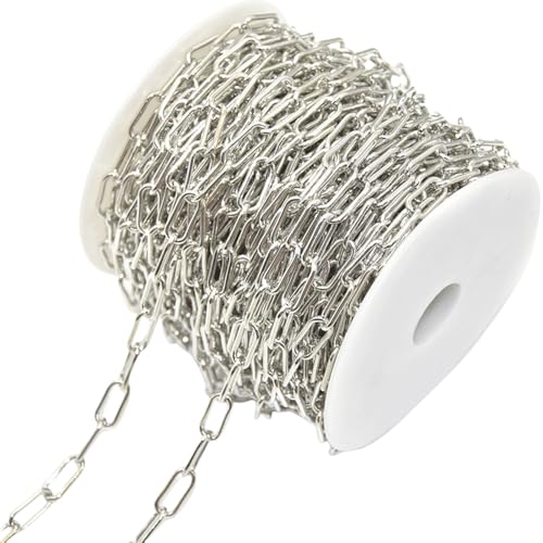 CHUYIX Kette Karabiner Gliederkette 1 Rollen Metallkette zum DIY Armband Kette Basteln Gliederkette Kette Meterware für Wäscheleine Hängepflanzen Hundekette Fahrradschloss DIY Dekoration 6x14mm von CHUYIX