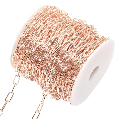 CHUYIX Kette Karabiner Gliederkette 1 Rollen Metallkette zum DIY Armband Kette Basteln Gliederkette Kette Meterware für Wäscheleine Hängepflanzen Hundekette Fahrradschloss DIY Dekoration 6x14mm von CHUYIX