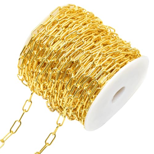 CHUYIX Kette Karabiner Gliederkette 1 Rollen Metallkette zum DIY Armband Kette Basteln Gliederkette Kette Meterware für Wäscheleine Hängepflanzen Hundekette Fahrradschloss DIY Dekoration 6x14mm von CHUYIX