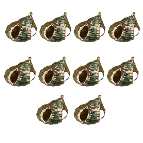 CHUYIX Muschelperlen 10 Stück verkupfern natürliche kleine spirale konisch Muscheln meeresschnecken herzmuscheln Beach Seashell Halsketten anhänger Für Strandparty Basteln Hochzeitsdeko Dekoration CHUYIX Muschelperlen 10 Stück verkupfern natürliche kleine spirale konisch Muscheln meeresschnecken herzmuscheln Beach Seashell Halsketten anhänger Für Strandparty Basteln Hochzeitsdeko Dekoration von CHUYIX