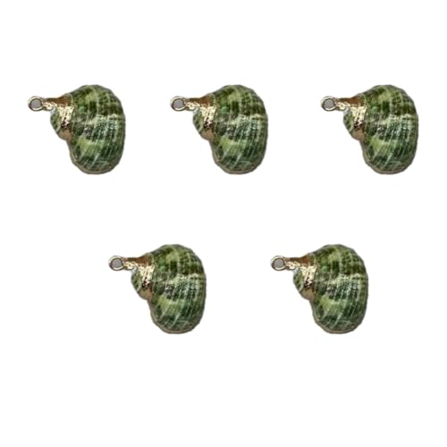 CHUYIX Muschelperlen 5 Stück verkupfern natürliche kleine spirale konisch Muscheln meeresschnecken herzmuscheln Beach Seashell Halsketten anhänger Für Strandparty Basteln Hochzeitsdeko Dekoration CHUYIX Muschelperlen 5 Stück verkupfern natürliche kleine spirale konisch Muscheln meeresschnecken herzmuscheln Beach Seashell Halsketten anhänger Für Strandparty Basteln Hochzeitsdeko Dekoration von CHUYIX