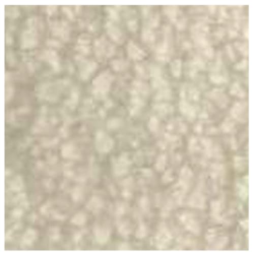 Kunstpelz Stoff Künstlicher Lammwolle Stoff 1000x160cm Wollmix Walkstoff Meterware Pelzstoff Weicher Faux Schaffell Dekostoff zum Nähen von Mänteln Jacken Röcken Mützen Dekoartikeln DIY Crafts Kunstpelz Stoff Künstlicher Lammwolle Stoff 1000x160cm Wollmix Walkstoff Meterware Pelzstoff Weicher Faux Schaffell Dekostoff zum Nähen von Mänteln Jacken Röcken Mützen Dekoartikeln DIY Crafts von CHUYIX