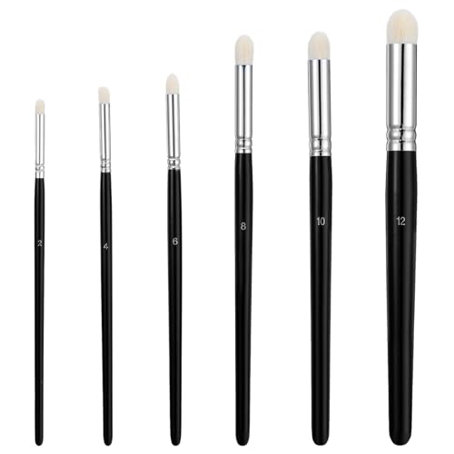 6 Stück Drybrush Set,Nylon Dry Brush,Professionelle Modellbau Pinsel,6 Größen Drybrush Pinsel,für Modellspielzeug und Miniaturmalerei (Schwarz) von CIATBYYJ