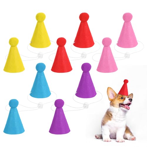 CIATBYYJ Mini-Partyhüte für Stofftiere, verstellbare Filzkegel, Geburtstagshüte mit Pompons in verschiedenen Farben, Mini-Partyhut für Hunde, Katzen, Puppen und Kaninchen, Tier-Geburtstagsdekorationen von CIATBYYJ