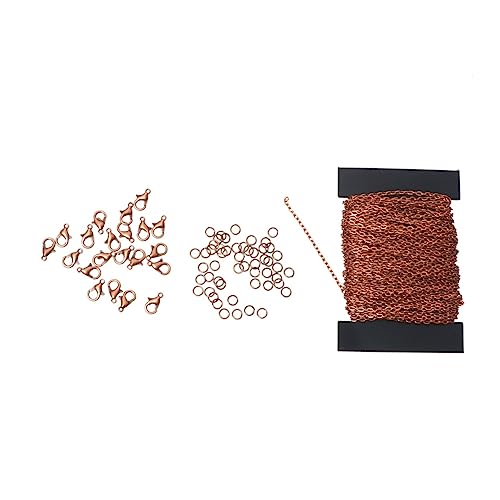 CIMAXIC 1 Sätze Eisenkette Ketten zur Schmuckherstellung Schließungen Karabinerverschlüsse zum Selbermachen Schließe Karabinerverschluss schmuck machen kalanchoe DIY -Halskette Eisenringe von CIMAXIC