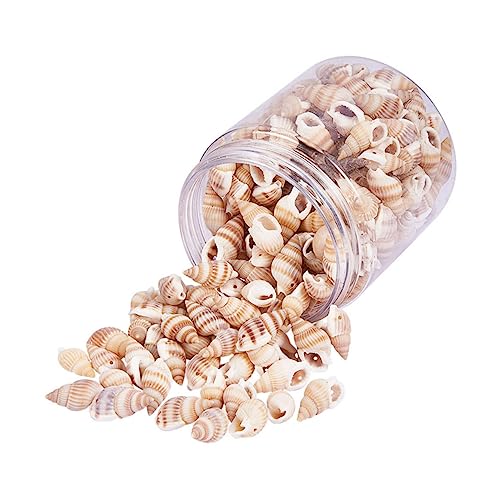 CIYODO Muschelschmuckspielzeug Muscheln Muscheldekor Strand Vase Nautisch Küstendekor Hülse Bausatz Dekorationen Für Aquarien Fisch Party Meerjungfrau Mini Tank Meeres-themen-charme CIYODO Muschelschmuckspielzeug Muscheln Muscheldekor Strand Vase Nautisch Küstendekor Hülse Bausatz Dekorationen Für Aquarien Fisch Party Meerjungfrau Mini Tank Meeres-themen-charme von CIYODO