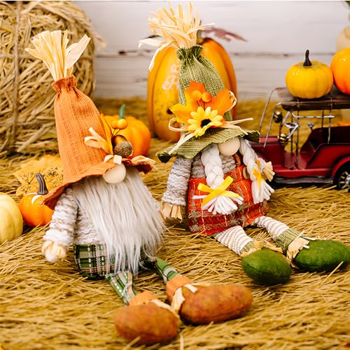 CJBIN Herbstdeko Wichtel, 2 Stück Herbst Wichtel, Wichtel Herbst Deko, Herbst Dekoration Wichtel, Erntedankfest Wichtel Herbst, Thanksgiving Herbst Zwerge Dekorationen für Haus Garten Tisch CJBIN Herbstdeko Wichtel, 2 Stück Herbst Wichtel, Wichtel Herbst Deko, Herbst Dekoration Wichtel, Erntedankfest Wichtel Herbst, Thanksgiving Herbst Zwerge Dekorationen für Haus Garten Tisch von CJBIN