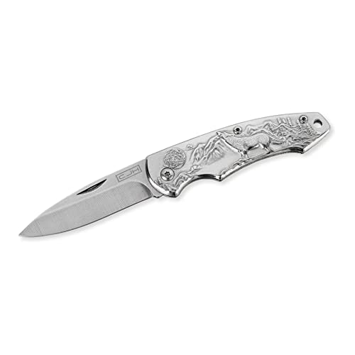 CJH Taschenmesser, AISI 420 Stahl, rostfrei Stahlgriff silber, Fangriemenöse, scharfes Klappmesser & Outdoor-Messer für Camping, Wandern oder Jagd CJH Taschenmesser, AISI 420 Stahl, rostfrei Stahlgriff silber, Fangriemenöse, scharfes Klappmesser & Outdoor-Messer für Camping, Wandern oder Jagd von CJH