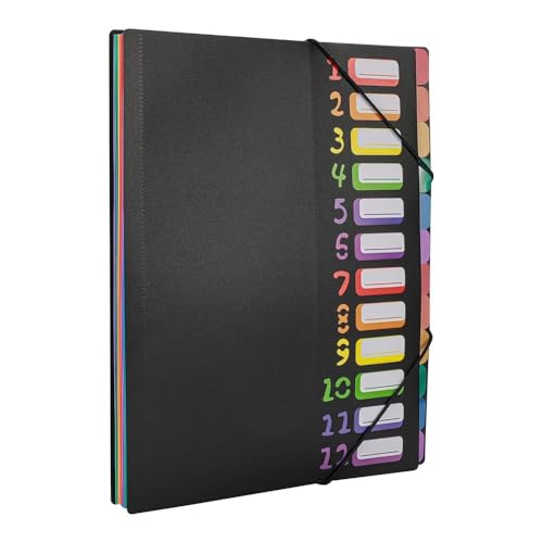 Ordner Organizer A4-Letter-Format, mehrfarbiger, erweiterbarer Projektsortierer mit 12 Fächern, robuster, monatlicher, erweiterbarer Ordner-Organizer aus Kunststoff Bürobedarf(Schwarz) von CJHFR472SG