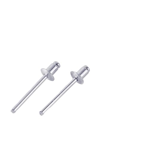 CLENEA 200 stücke Aluminium Legierung Blind Niet Pop Runde Kopf Pull Niet Dekoration Nagel Niet Auspuff Niet(4.8mm) von CLENEA