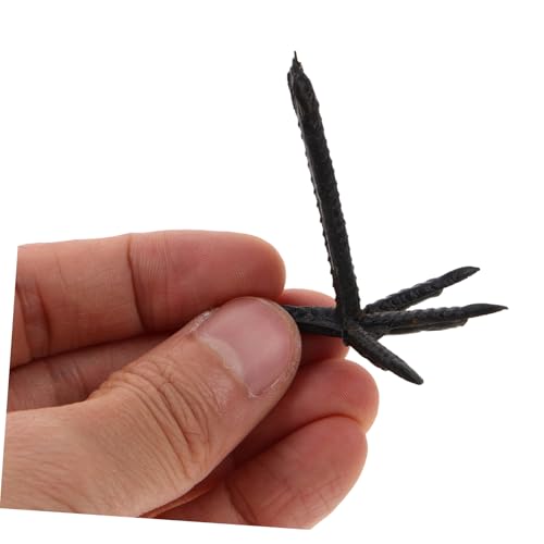CLISPEED 100 Stück Teiliges Kunststoff Krähenkrallen Spielzeugzubehör Simulierte für Kuscheltiere Pflegeleichtes Material Realistisches Design für Basteln und Halloween Dekoration CLISPEED 100 Stück Teiliges Kunststoff Krähenkrallen Spielzeugzubehör Simulierte für Kuscheltiere Pflegeleichtes Material Realistisches Design für Basteln und Halloween Dekoration von CLISPEED