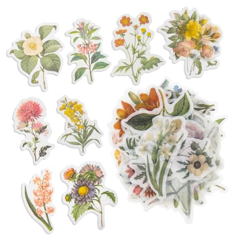 CLISPEED 2 Sätze Vintage Blumen Aufkleber Retro Garten Pflanzen Sticker für Scrapbook Tagebuch DIY Dekoration Selbstklebend Langlebig Vielseitig Verwendbar CLISPEED 2 Sätze Vintage Blumen Aufkleber Retro Garten Pflanzen Sticker für Scrapbook Tagebuch DIY Dekoration Selbstklebend Langlebig Vielseitig Verwendbar von CLISPEED